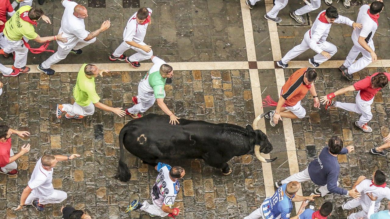 Festival of San Fermín